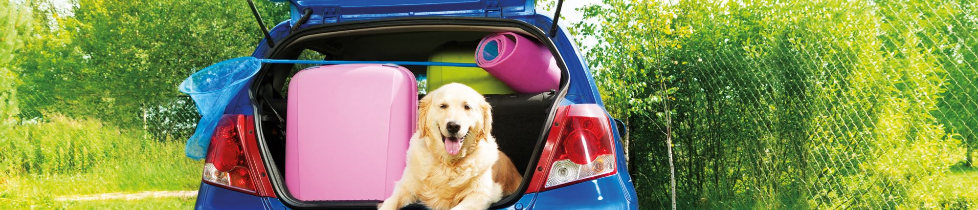 Kommen Sie sicher in ihren wohlverdienten Urlaub und wieder zurück mit unserem Urlaubs-Check